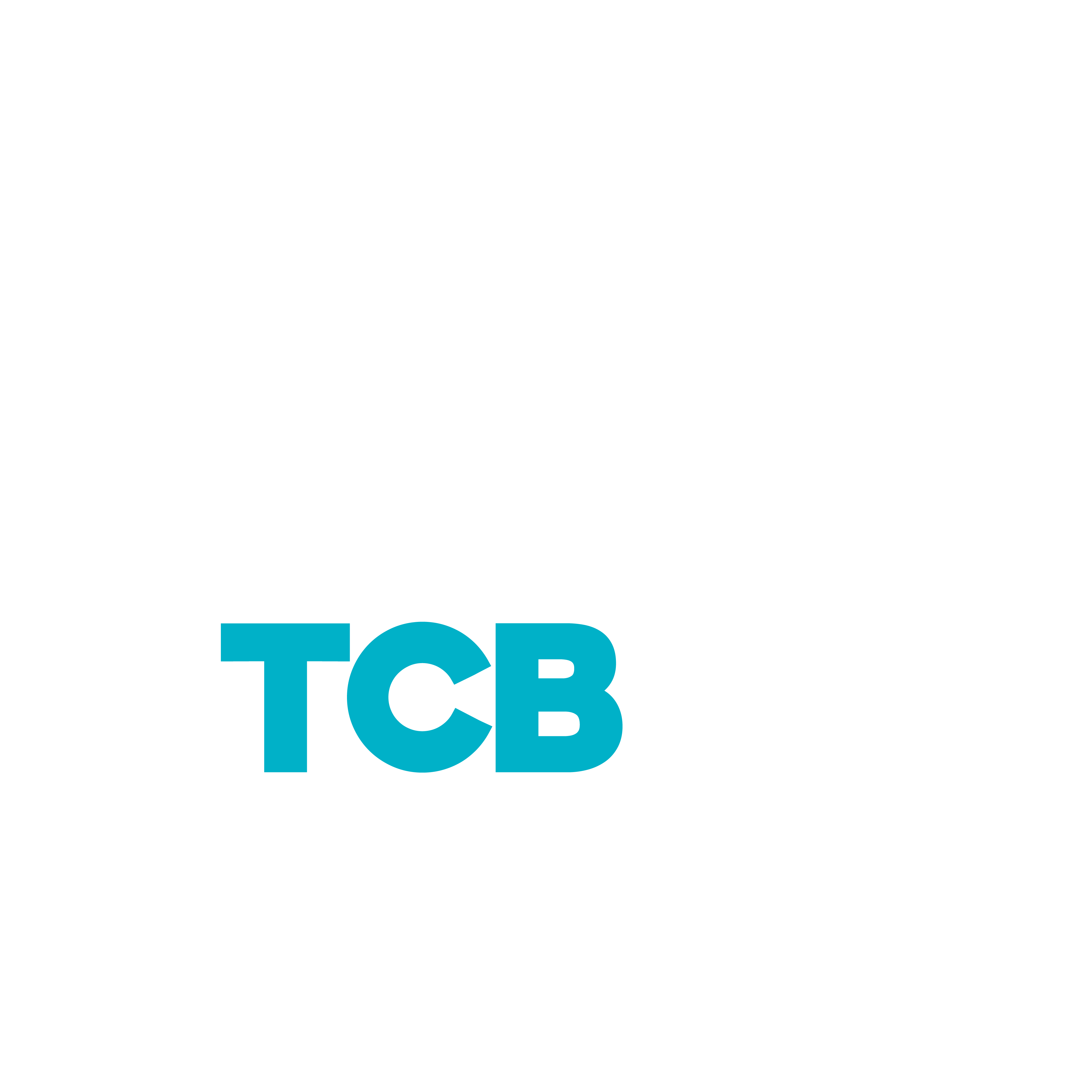 tbc construcciones